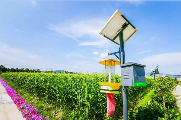 太陽(yáng)能殺蟲(chóng)燈