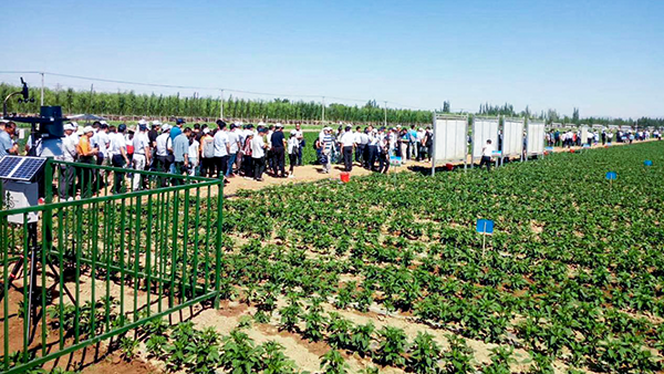 基地現(xiàn)場參觀 基地現(xiàn)場參觀